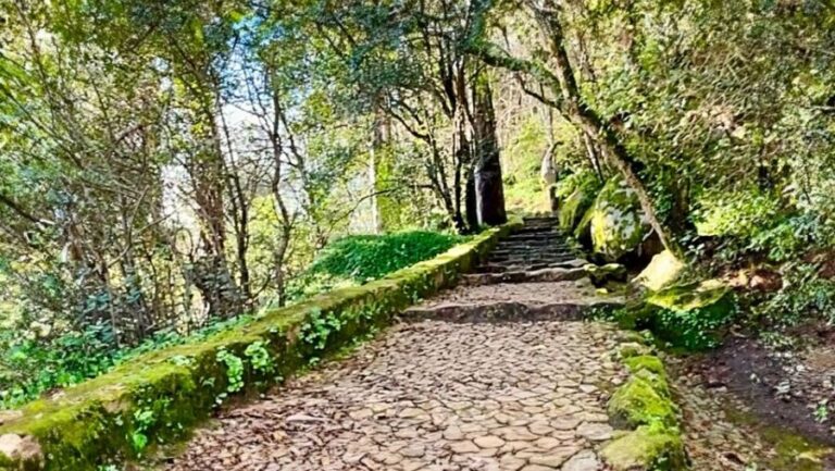 Sintra: Adventure hike around Sintra's most popular castles - Final Thoughts: Is It Right for You?