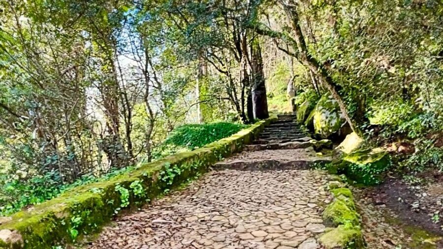 Sintra: Adventure hike around Sintra's most popular castles - Final Thoughts: Is It Right for You?
