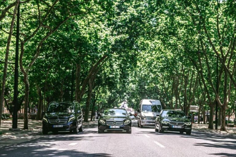 Sintra and Cascais Luxury Private Tour 8h - Who Should Consider This Tour?