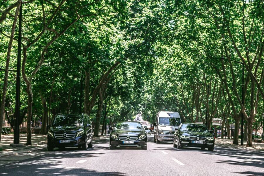 Sintra and Cascais Luxury Private Tour 8h - Who Should Consider This Tour?