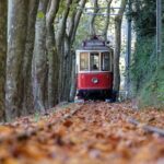 Sintra and Cascais Small Group Full-Day Tour from Lisbon - The Practicalities