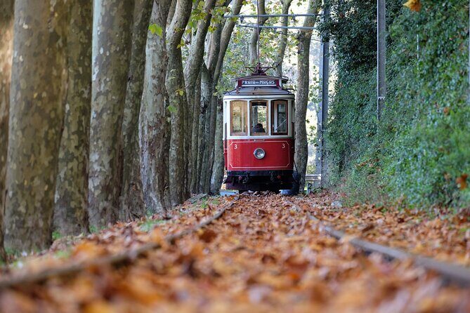 Sintra and Cascais Small Group Full-Day Tour from Lisbon - The Practicalities