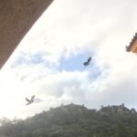 Sintra by heart - private Tour with train trip from Lisbon - Final thoughts
