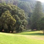 Sintra+ Cascais Gardens Full Day: Private Tour - An In-Depth Review of the Sintra+ Cascais Gardens Full Day Tour