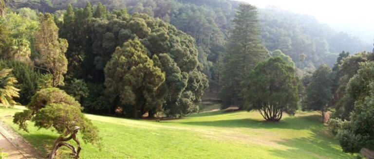 Sintra+ Cascais Gardens Full Day: Private Tour - An In-Depth Review of the Sintra+ Cascais Gardens Full Day Tour