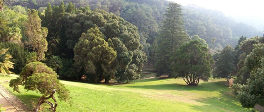 Sintra+ Cascais Gardens Full Day: Private Tour - An In-Depth Review of the Sintra+ Cascais Gardens Full Day Tour
