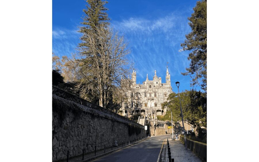 Sintra Experience Tour: Tuk Tuk with Ginja - Who Will Love This Experience?