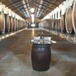 Sintra Full Day Private Wine Experience with Tastings from Lisbon - A Deep Dive into the Full-Day Sintra Private Experience