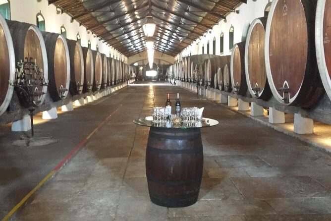Sintra Full Day Private Wine Experience with Tastings from Lisbon - A Deep Dive into the Full-Day Sintra Private Experience
