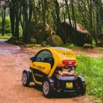 Sintra: Heritage, Gardens & Nature Tour E-Car GPS AudioGuide - What Makes This Tour Special?