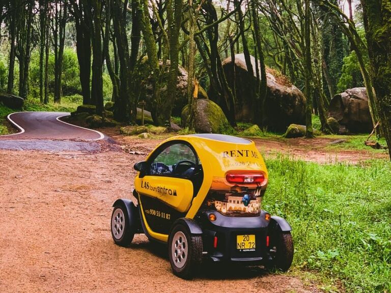 Sintra: Heritage, Gardens & Nature Tour E-Car GPS AudioGuide - What Makes This Tour Special?