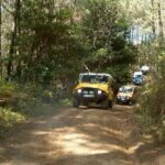 Sintra Jeep Tour - Practical Details and What to Expect
