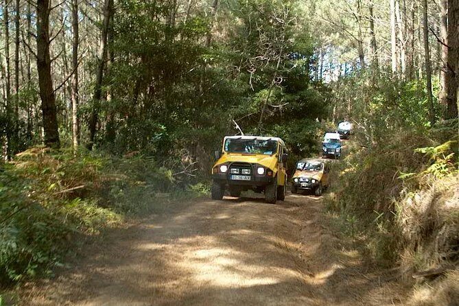 Sintra Jeep Tour - Practical Details and What to Expect
