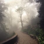 Sintra: Legends and Medieval Stories Private Walking Tour - A Closer Look at the Experience
