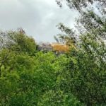 Sintra, Lisboa, - Practical Aspects and What You Can Expect