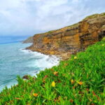 Sintra: Magoito Sunset and BBQ Tour - Who Should Consider This Tour?