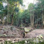 Sintra: Pena Palace Ticket Included, Day Trip - The Practical Side: What You Need to Know