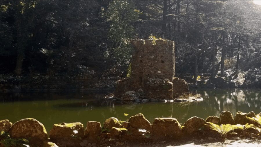Sintra: Private Palaces, Moorish Castle, and Roca Cape Tour - A Detailed Look at the Sintra Private Tour Experience