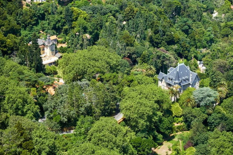 Sintra: Private Sightseeing Tuk Tuk Tour with Local Guide - Final Thoughts: Who Will Love This Tour?