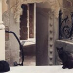 Sintra Private Tour with Historian Miguel Boim - Frequently Asked Questions (FAQs)