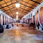 Sintra: Queluz Palace, Biester Palace, and Colares Winery - Discovering Sintra’s Regal Charm and Historic Wineries