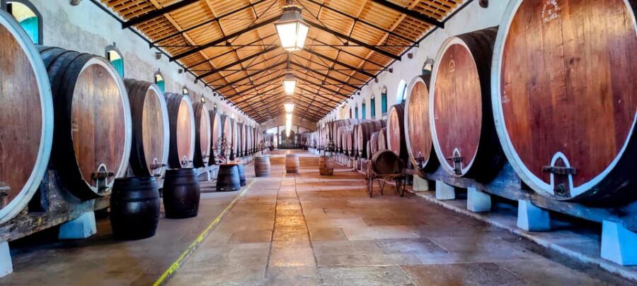 Sintra: Queluz Palace, Biester Palace, and Colares Winery - Discovering Sintra’s Regal Charm and Historic Wineries