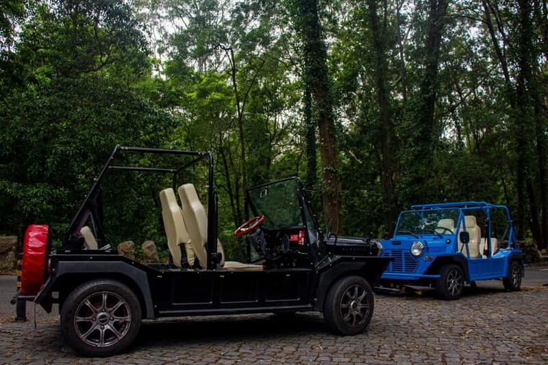 Sintra: Vintage electric Tuk Tuk tour, Pena Palace, coast 7H - Who Will Love This Tour?