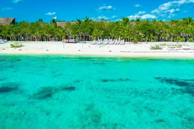 Sip and Sea A Mexican Mixology Escape - Why This Tour Offers Value