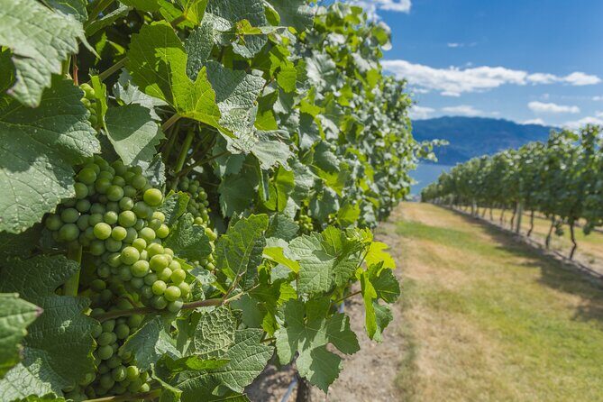 Sip & Savor: Private West Kelowna Wine Trail Escape - The Cultural Element