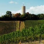 Sip Wine Along the Rhine - Grape Day out from Frankfurt - The Full Experience: A Detailed Look at the Rhine Wine Tour