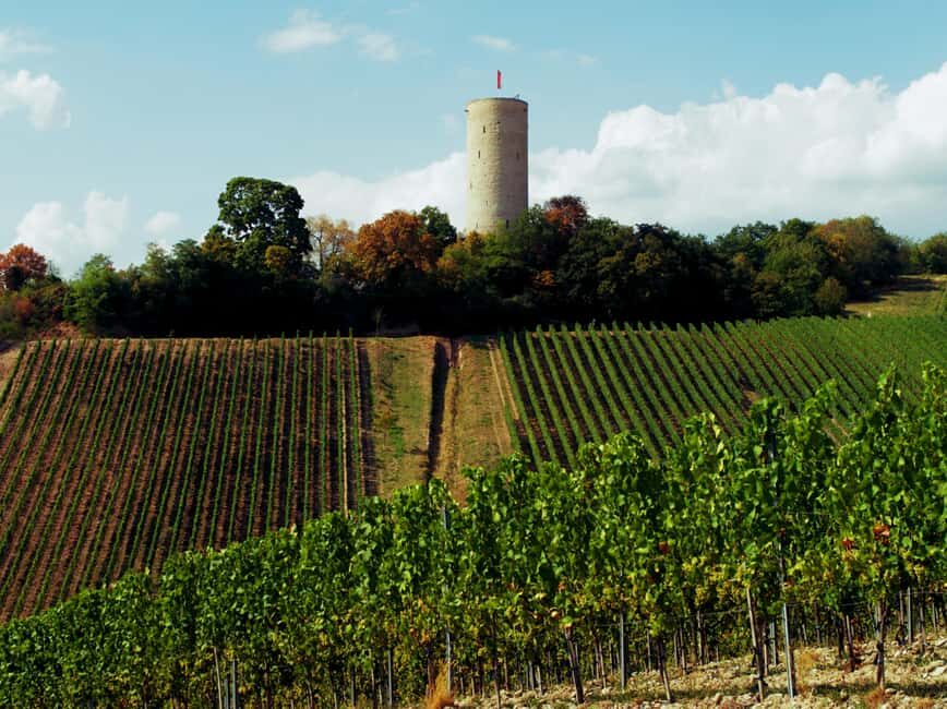 Sip Wine Along the Rhine - Grape Day out from Frankfurt - The Full Experience: A Detailed Look at the Rhine Wine Tour