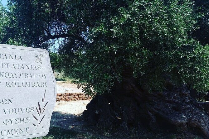 Sips of Crete: Flavors, Legends & Hidden Gems - Practical Details & What to Expect