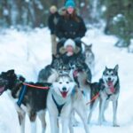Sirkka: Husky Sled Ride in Levi - The Value and Practicality