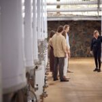 Sirromet Winery Eataly Discovery - Includes Tour, Tasting and 3 Course Lunch - An Honest Look at the Sirromet Winery Eataly Discovery Tour