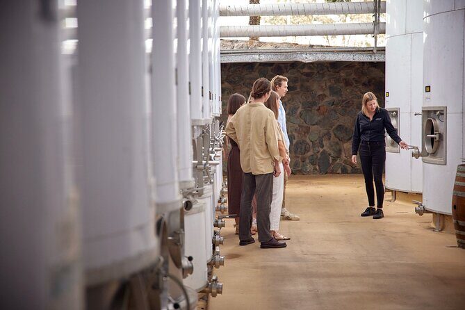 Sirromet Winery Tour and Wine Tasting - Who Will Love This Experience?