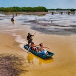 Sisal Yucatán: Flamingo Safari Tour Mangroves - Exploring the Mangroves of Sisal: What to Expect