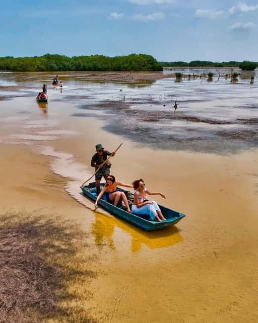 Sisal Yucatán: Flamingo Safari Tour Mangroves - Exploring the Mangroves of Sisal: What to Expect