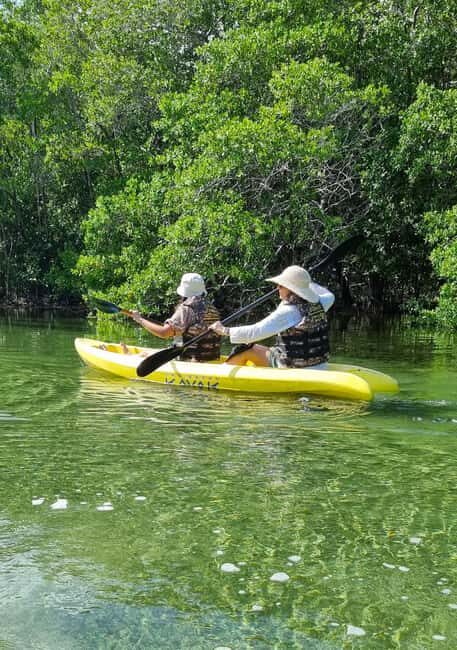 Sisal Yucatán: Snorkeling in a jungle spring and mangrove exploration - Who Should Book This Tour?
