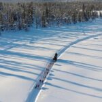 Sit Down Husky Ride Dog Sled Tour in Kiruna - Who Is This Tour Best For?
