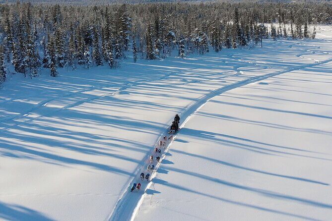Sit Down Husky Ride Dog Sled Tour in Kiruna - Who Is This Tour Best For?