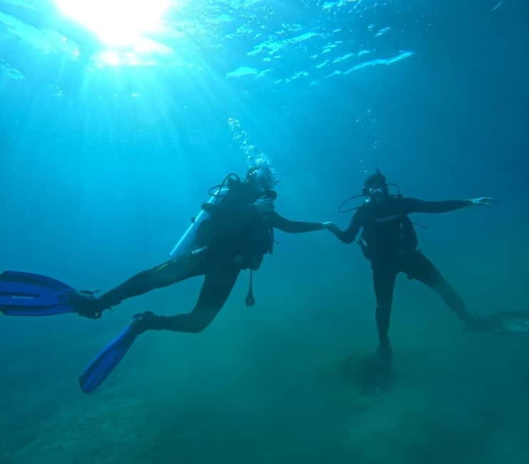 Sithonia: 1 Guided Shore Dive for Certified Divers - The Itinerary and What Makes It Special