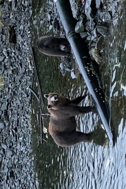 Sitka Boat Tours: whale watching, hot springs, kayaking - Who Should Consider This Tour?