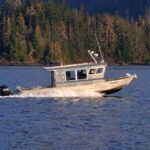 Sitka: Premiere Whale Watching and Wildlife Tour - Final Thoughts: Who Should Book This Tour?