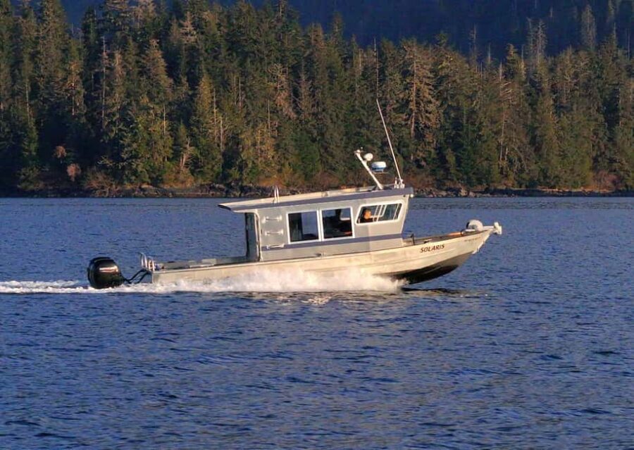 Sitka: Premiere Whale Watching and Wildlife Tour - Final Thoughts: Who Should Book This Tour?