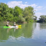 Skadar Lake kayak rent: A Journey Through Tranquility - Who Will Love This Experience?