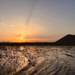 Skadar Lake Private Boat Tour with Wine Tasting - An In-Depth Look at the Skadar Lake Private Boat Tour