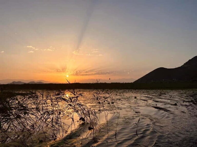 Skadar Lake Private Boat Tour with Wine Tasting - An In-Depth Look at the Skadar Lake Private Boat Tour