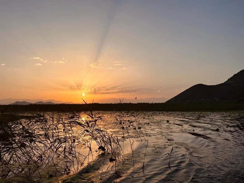 Skadar Lake Private Boat Tour with Wine Tasting - An In-Depth Look at the Skadar Lake Private Boat Tour