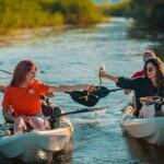 Skadar Lake: Self-Guided Bird Tour & Kayak Rental - Final Thoughts: Is This Tour for You?