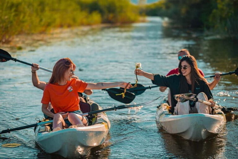 Skadar Lake: Self-Guided Bird Tour & Kayak Rental - Final Thoughts: Is This Tour for You?